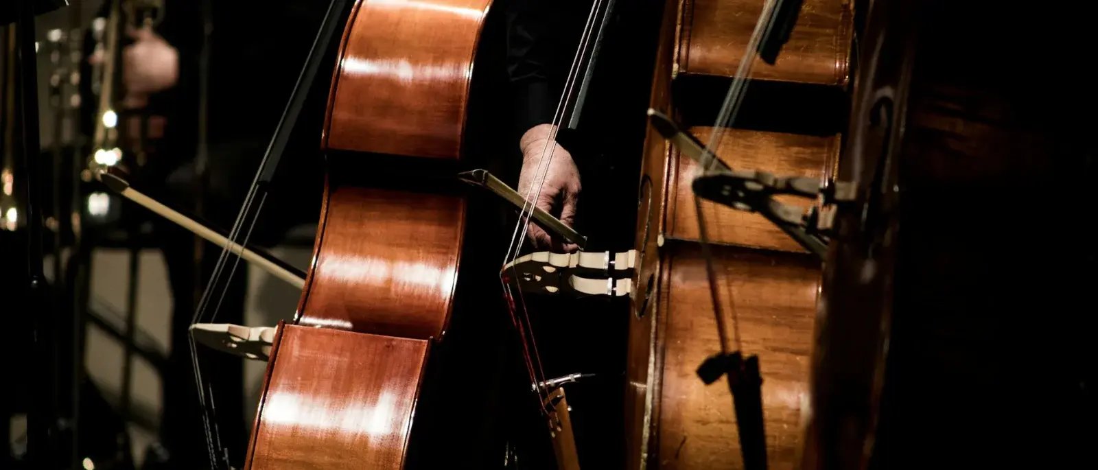 Close-up of musicians drawing bows across wooden string instruments during a performance.